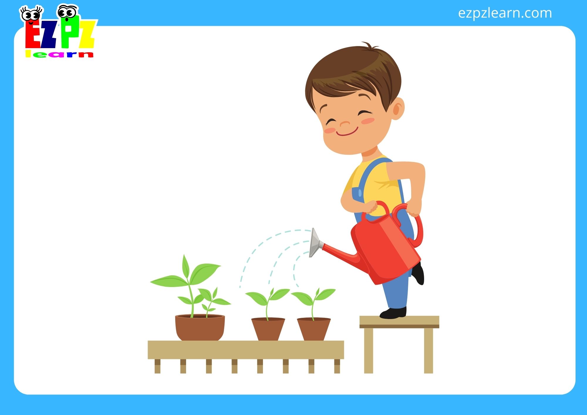 water the plants